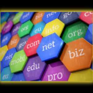 There are different types of domain names, depending on their purpose:.com – For commercial use (most popular) .org – For non-profits or organizations .net – For networks and tech services .in – For businesses in India .store – For eCommerce stores 
