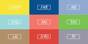 There are different types of domain names There are different types of domain names, depending on their purpose:.com – For commercial use (most popular) .org – For non-profits or organizations .net – For networks and tech services .in – For businesses in India .store – For eCommerce stores